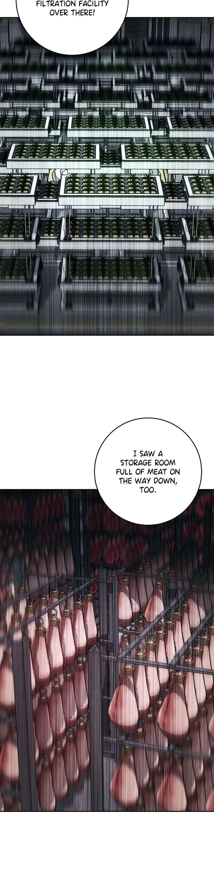 The Skeleton Soldier Failed to Defend the Dungeon Chapter 272, page 33 of 44