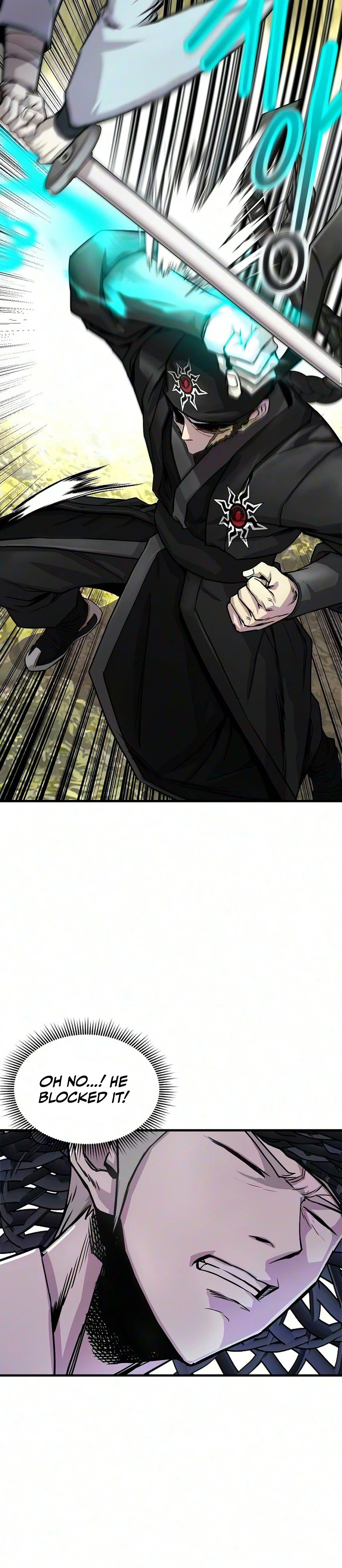 The Sword Emperor’s Path to Namgung Chapter 14, page 9 of 33