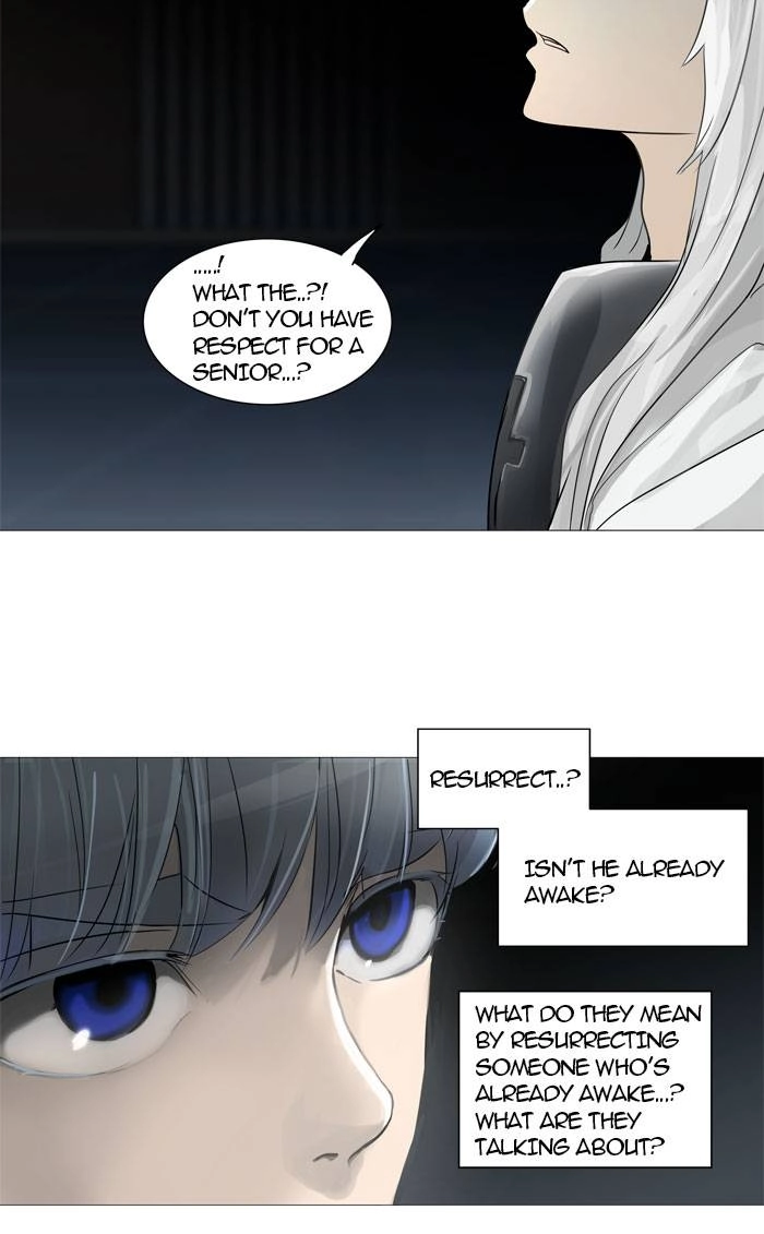 Tower of God Chapter 245, page 29 of 42