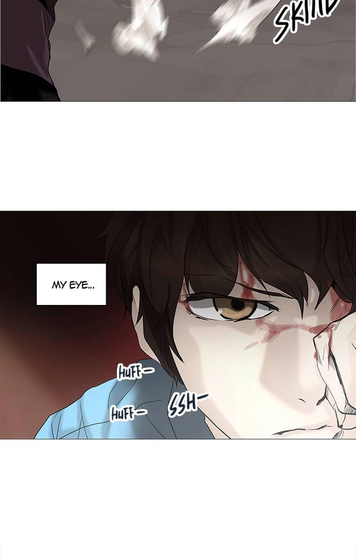 Tower of God Chapter 247, page 29 of 66