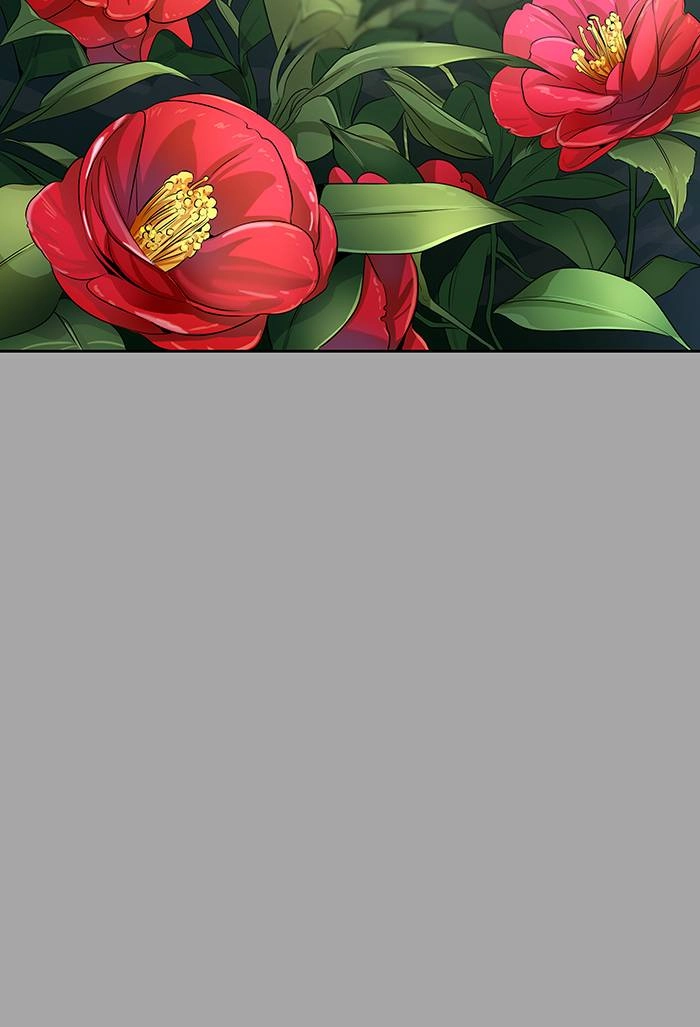 Tower of God Chapter 527, page 211 of 254