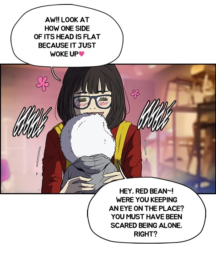 Wind Breaker Chapter 105, page 5 of 50
