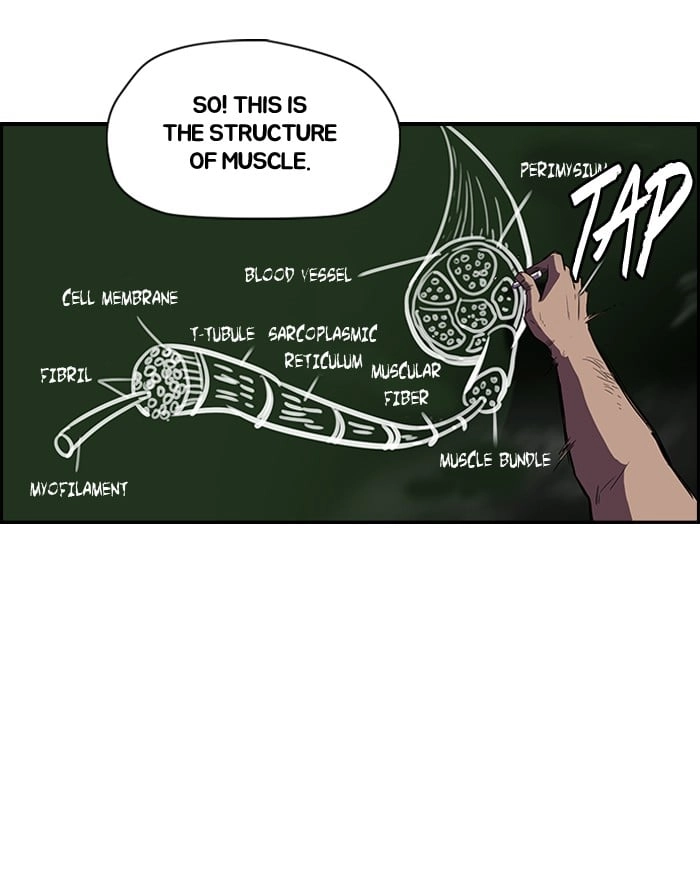 Wind Breaker Chapter 138, page 32 of 48