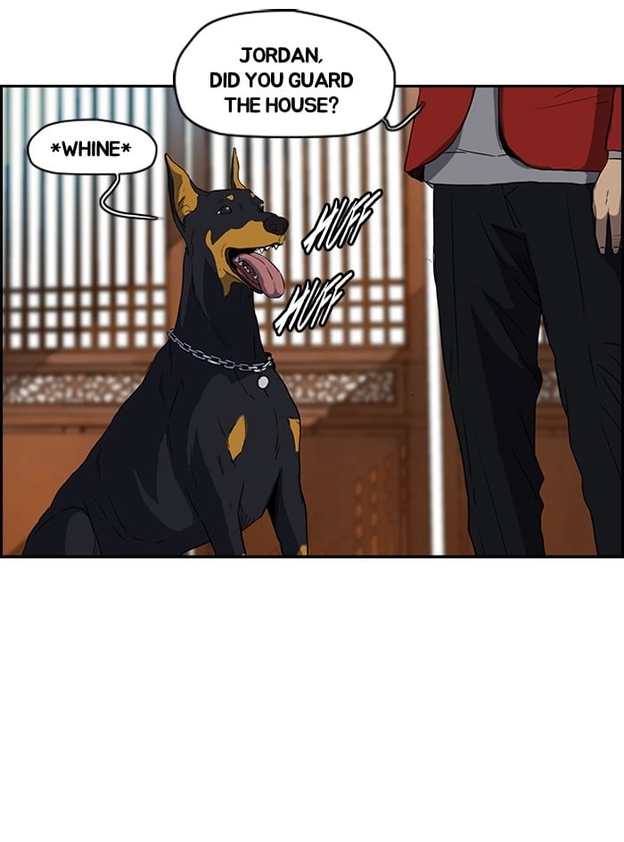 Wind Breaker Chapter 154, page 37 of 62