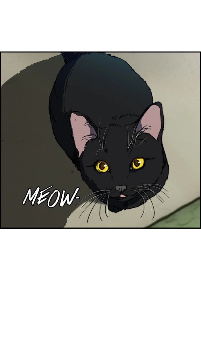 Wind Breaker Chapter 170, page 25 of 62