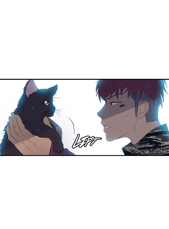 Wind Breaker Chapter 18, page 37 of 66
