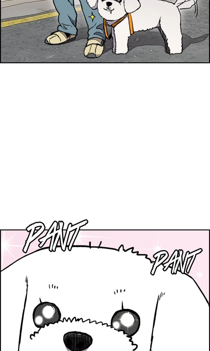 Wind Breaker Chapter 278, page 52 of 112