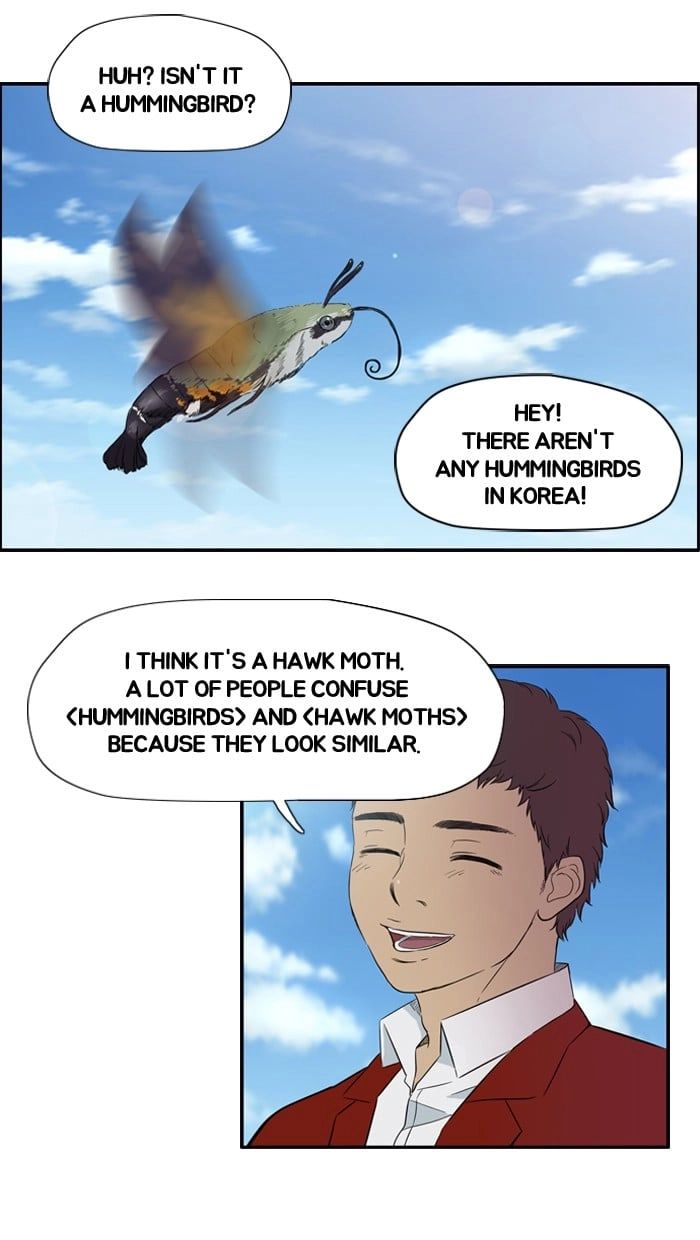 Wind Breaker Chapter 28, page 42 of 52
