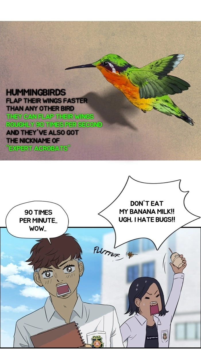 Wind Breaker Chapter 28, page 43 of 52