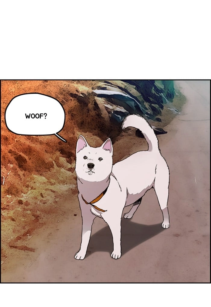 Wind Breaker Chapter 291, page 94 of 120