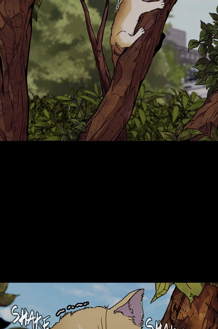 Wind Breaker Chapter 318, page 35 of 114