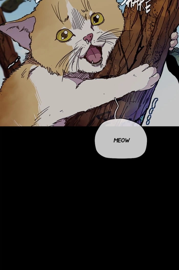 Wind Breaker Chapter 318, page 36 of 114