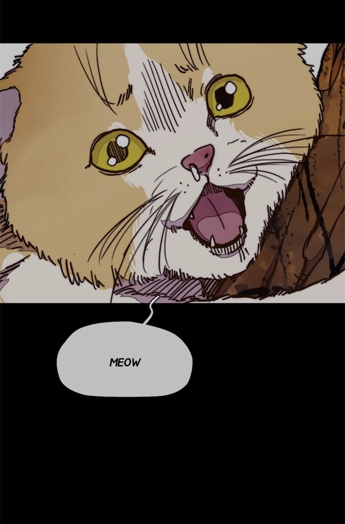 Wind Breaker Chapter 318, page 64 of 114