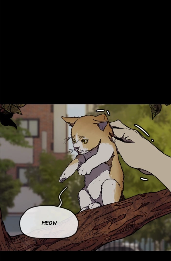 Wind Breaker Chapter 318, page 66 of 114