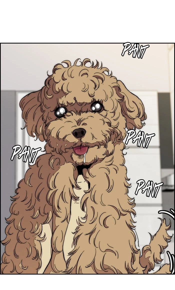 Wind Breaker Chapter 321, page 88 of 110