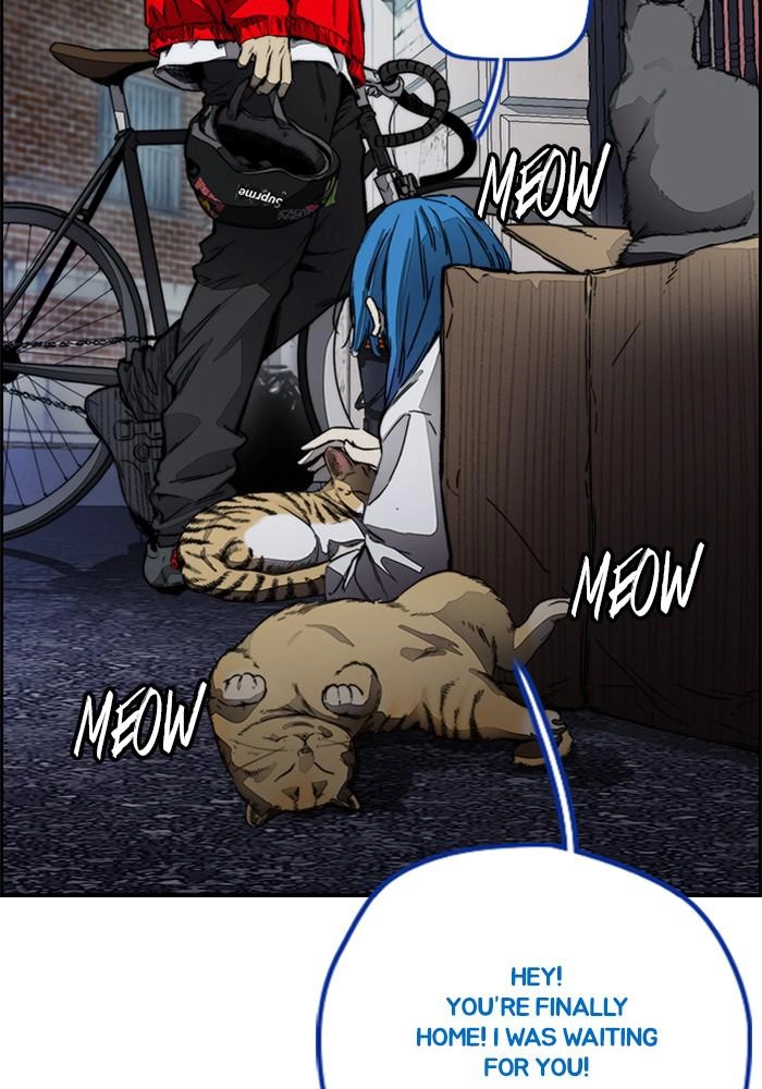 Wind Breaker Chapter 382, page 147 of 201