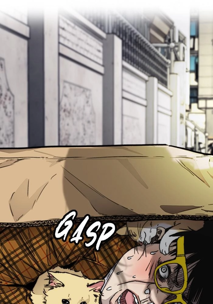 Wind Breaker Chapter 383, page 14 of 257