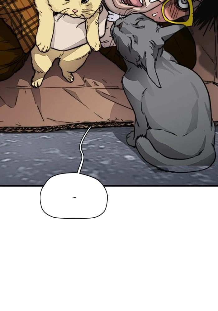 Wind Breaker Chapter 383, page 15 of 257