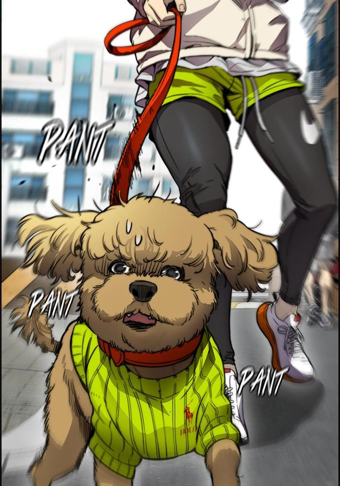 Wind Breaker Chapter 387, page 87 of 204