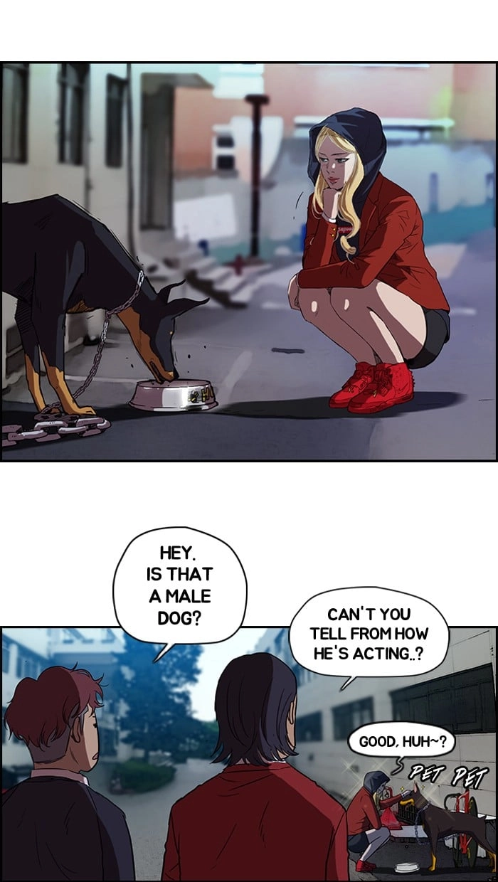 Wind Breaker Chapter 61, page 21 of 43