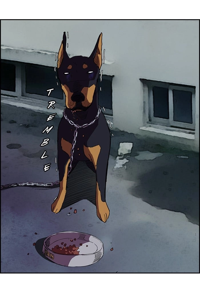 Wind Breaker Chapter 61, page 34 of 43