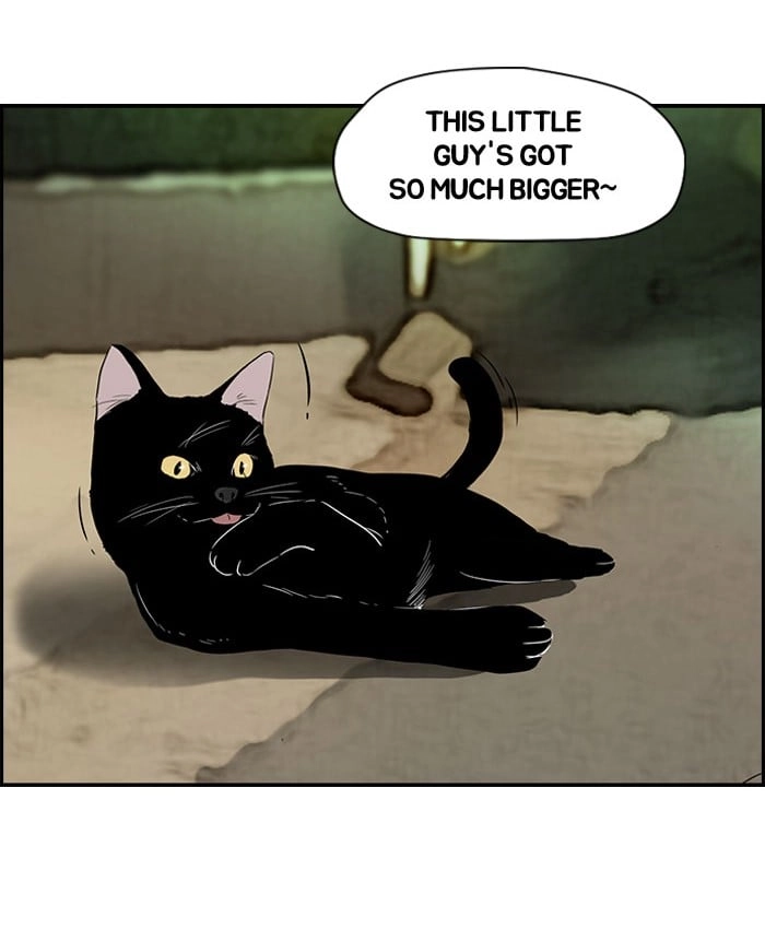 Wind Breaker Chapter 66, page 7 of 48
